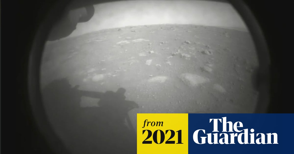 www.theguardian.com