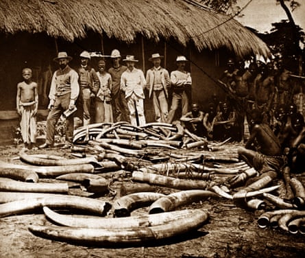 The Belgian Congo was a centre for ivory hunting.