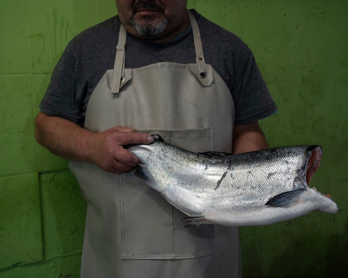 ‘Those who eat Chilean salmon cannot imagine how much human blood it carries with it’