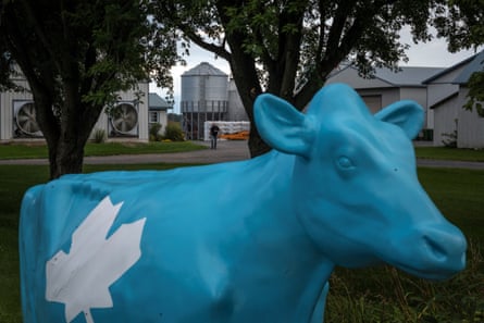 A statue of a cow in Quebec, Canada.