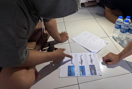 A person with their face obscured by a hoodie, points at pictures of sharks on a sheet of paper on the floor