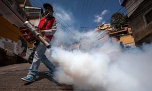 Zika virus Venezuela