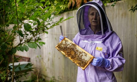 Anne Rowberry, chair of the British Beekeepers Association.