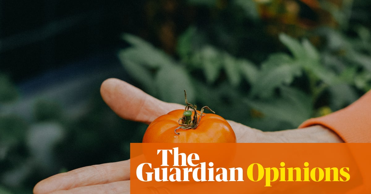 I was enjoying growing vegetables. Then the climate crisis raised its ugly head | Bim Adewunmi