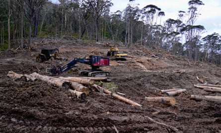 Logging machinery in in Tallaganda state forest.