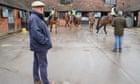 Nicholls downsizes Cheltenham Festival squad with Irish set to make hay