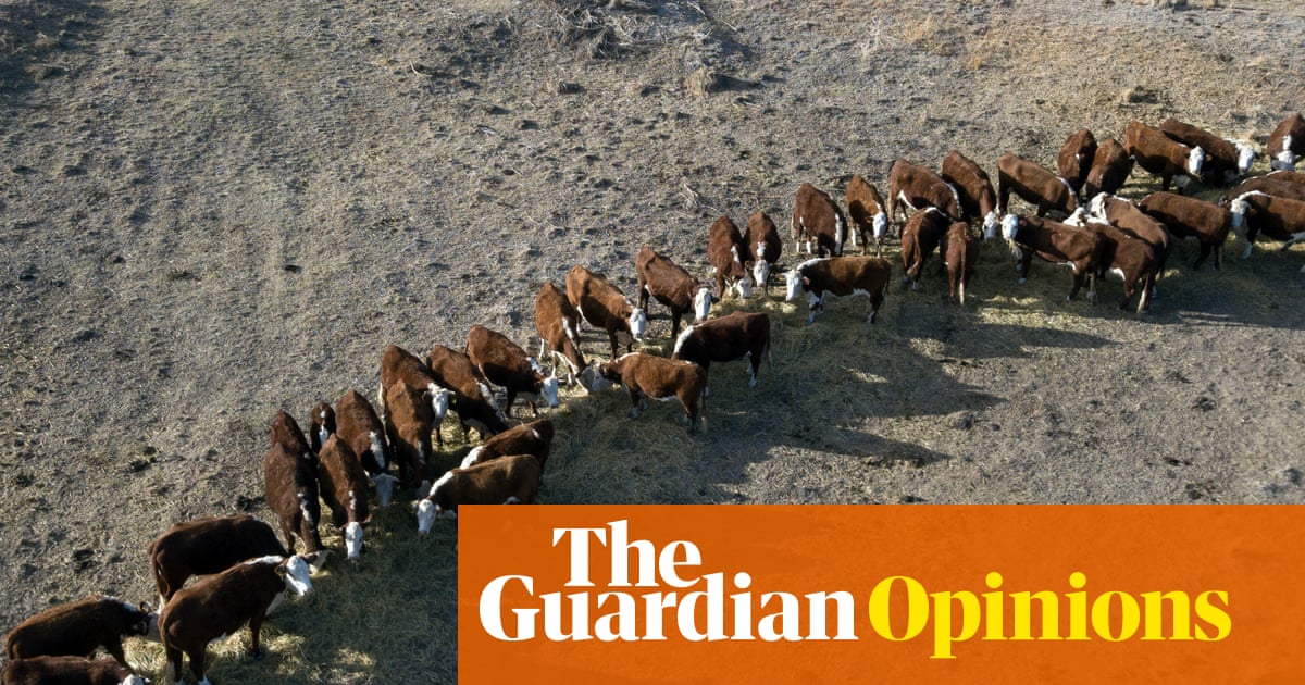 The green drought: June rainfall has come too late to offer relief to farmers in southern Australia | Andrew B Watkins, Allie Grant and Pallavi Goswami for the Conversation The green drought: June rainfall has come too late to offer relief to farmers in southern Australia | Andrew B Watkins, Allie Grant and Pallavi Goswami for the Conversation
