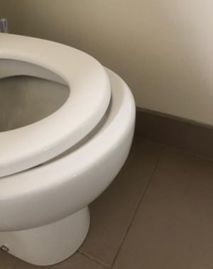 Brigid Delaney’s replacement toilet seat.