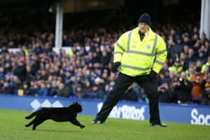 One of the highlights of the match between Everton and Wolverhampton Wanderers at Goodison Park was the appearance of a cat on the pitch in the second half. Everton lost 3-1 and departed to a hail of boos at the final whistle
