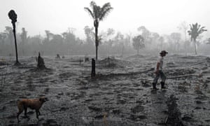 A Brazilian farmer walks through a burnt area of the Amazon rainforest, near Porto Velho, Rondonia state, Brazil in August 2019.
