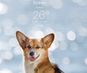 Weather Puppy app for First Dog cartoon