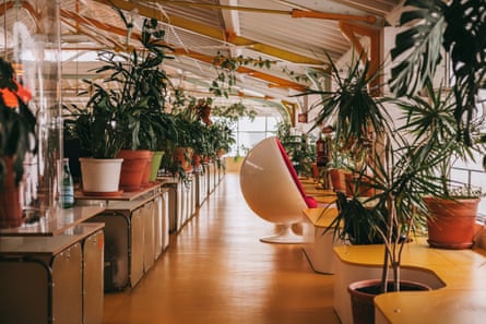 An attractive shared working space in Lisbon, with round-backed plastic chairs and lots of plants