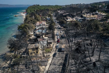 Sea and scorched and blackened forest with some buildings