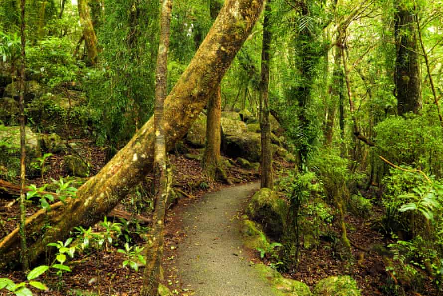 The way starring to Best of All Lookout