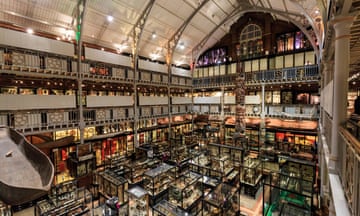 View of the Pitt Rivers Museum in Oxford