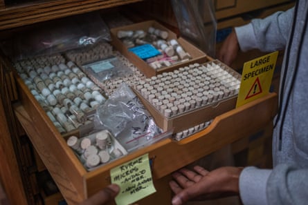 A drawer filled with test tubes and specimen bottles