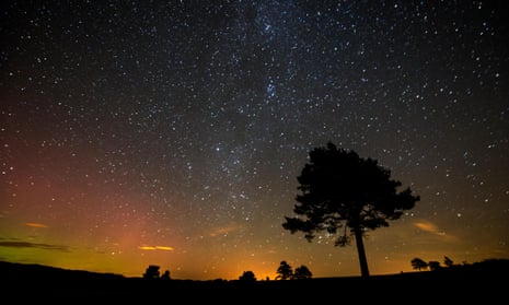 Trees in Cairngorms national park, Scotland, are silhouetted against the night sky.