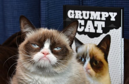 Grumpy Cat makes an appearance at Kitson Santa Monica to promote her new book.