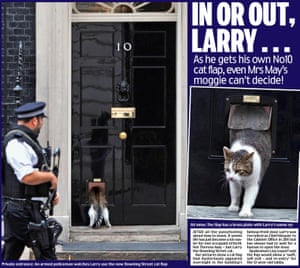 Daily Mail’s April Fool cat flap.