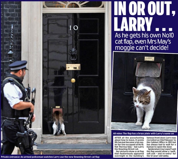 Daily Mail’s April Fool cat flap.