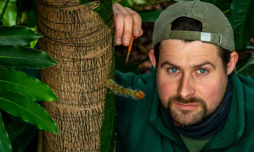 Cambridge University Botanic Garden glasshouse supervisor Alex Summers, with the rare cactus.