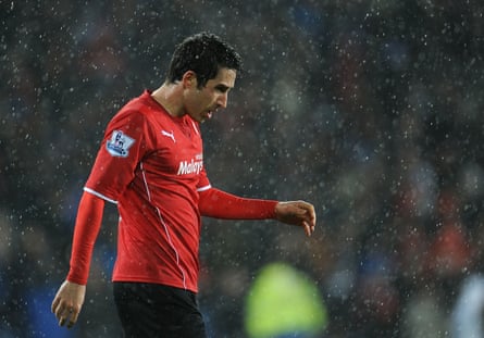 Peter Whittingham and Cardiff City had a tough time in their only Premier League campaign.