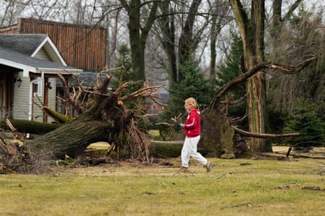 a person walks past downed trees