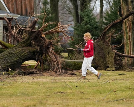 A person wearing gloves and work clothes walking past uprooted trees