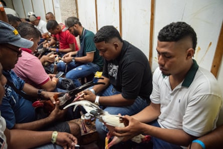 Line of men sitting and holding roosters