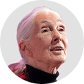 Jane Goodall.
