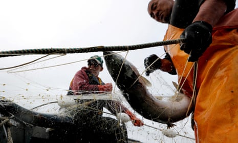 Salmon-fishing in Alaska.