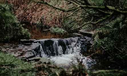 Little waterfall on brook