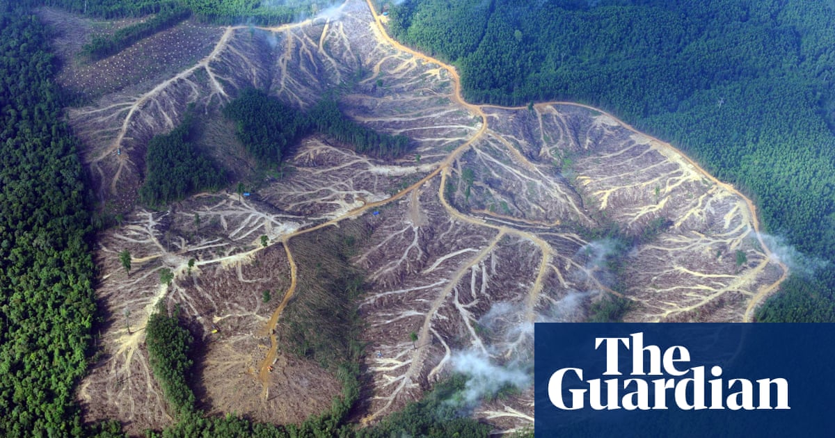 Indonesia says Cop26 zero-deforestation pledge it signed ‘unfair’