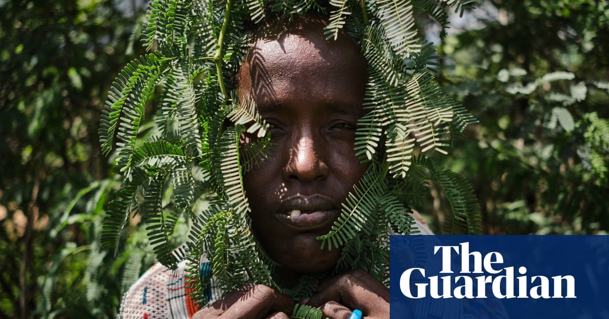 How an idealistic tree-planting project turned into Kenya's toxic, thorny nightmare