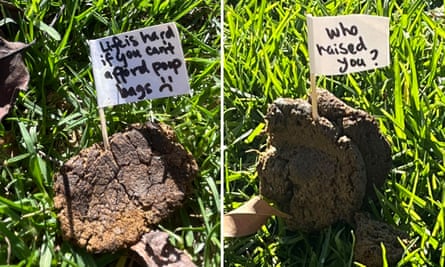 Two pieces of dog poop adorned with white flags.