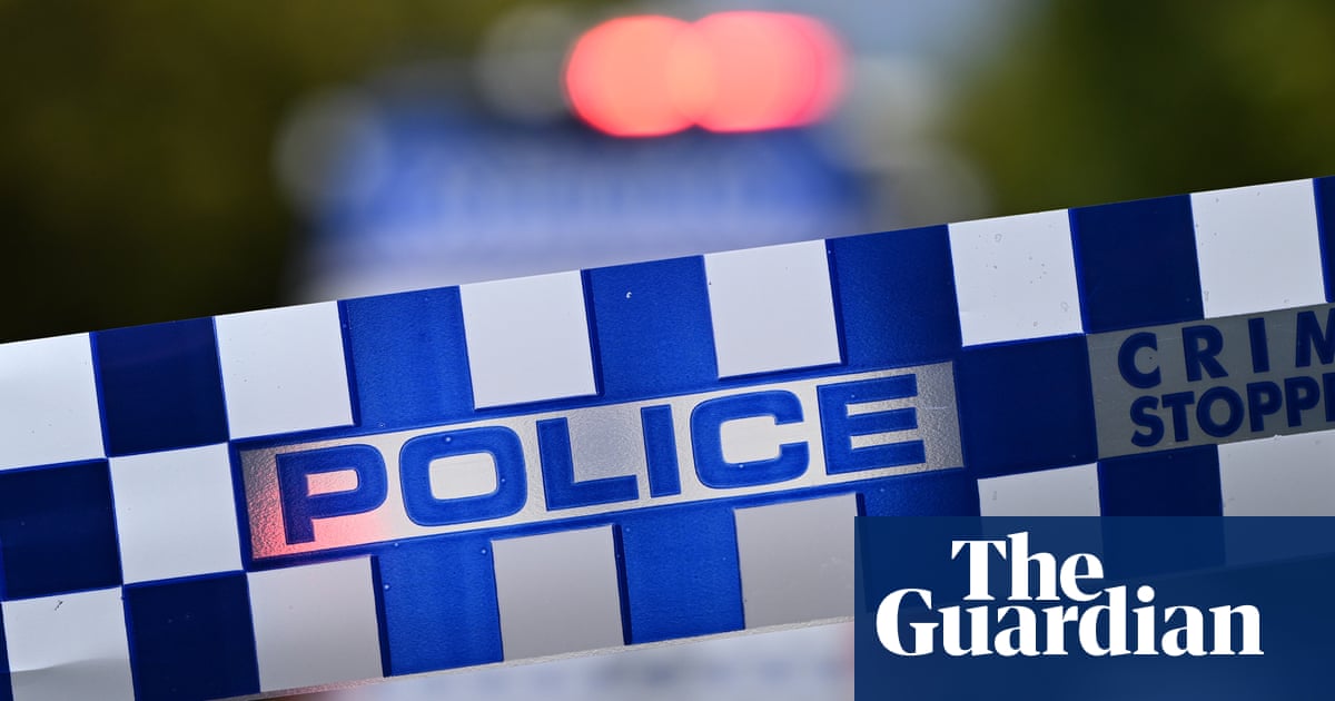 Newborn baby's body found in Sydney rubbish bin; police seek mother