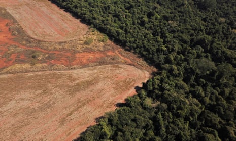 Scientists from the State University of Mato Grosso identify signs of climate change on the border between Amazonia and Cerrado<br>An aerial view shows deforestation near a forest on the border between Amazonia and Cerrado in Nova Xavantina, Mato Grosso state, Brazil July 28, 2021. Picture taken July 28, 2021 with a drone. REUTERS/Amanda Perobelli