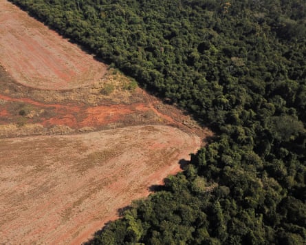 A section of deforested land next to a forest