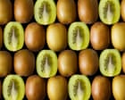 My latest discovery? You can eat the skin of a kiwifruit – and the benefits are myriad | Adrian Chiles