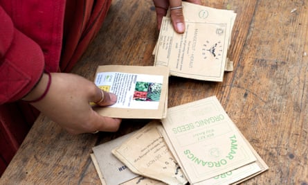 Sorting seeds: Poppy Okotcha.