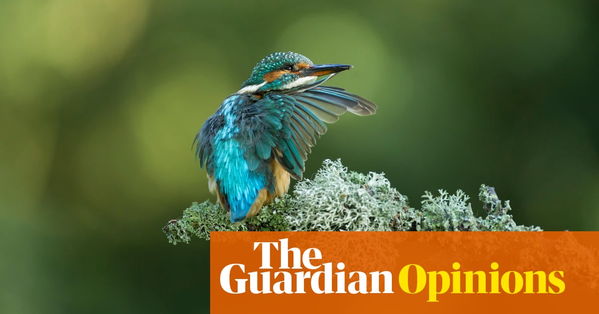 The Guardian view on nature tourism: tread lightly