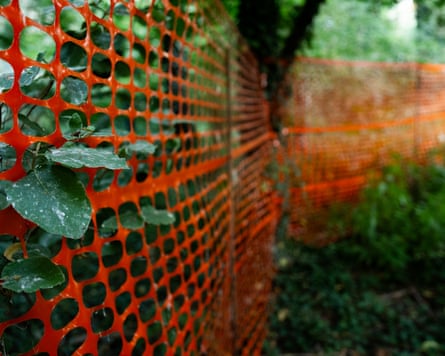 A red plastic fence through a forest