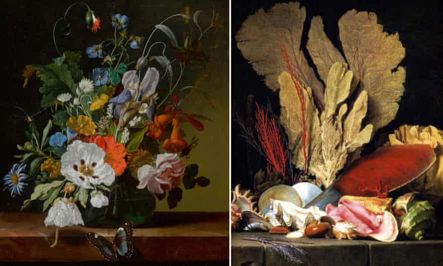 Flowers in a vase on a ledge with a dragonfly, caterpillar, and butterfly by Rachel Ruysch, left, and Tuft of Marine Plants, Shells and Corals by Anne Vallayer-Coster