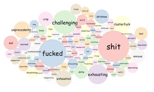 Word of the year poll: Guardian readers describe 2020 as 'shit' | Australia news | The Guardian