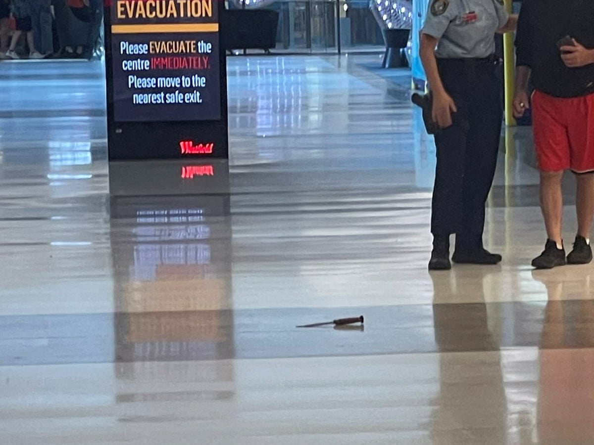 Joel Cauchi named as Bondi Westfield attacker who stabbed shoppers (theguardian.com)