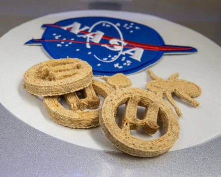 Close-up show of the cookies on a plate bearing the Nasa logo