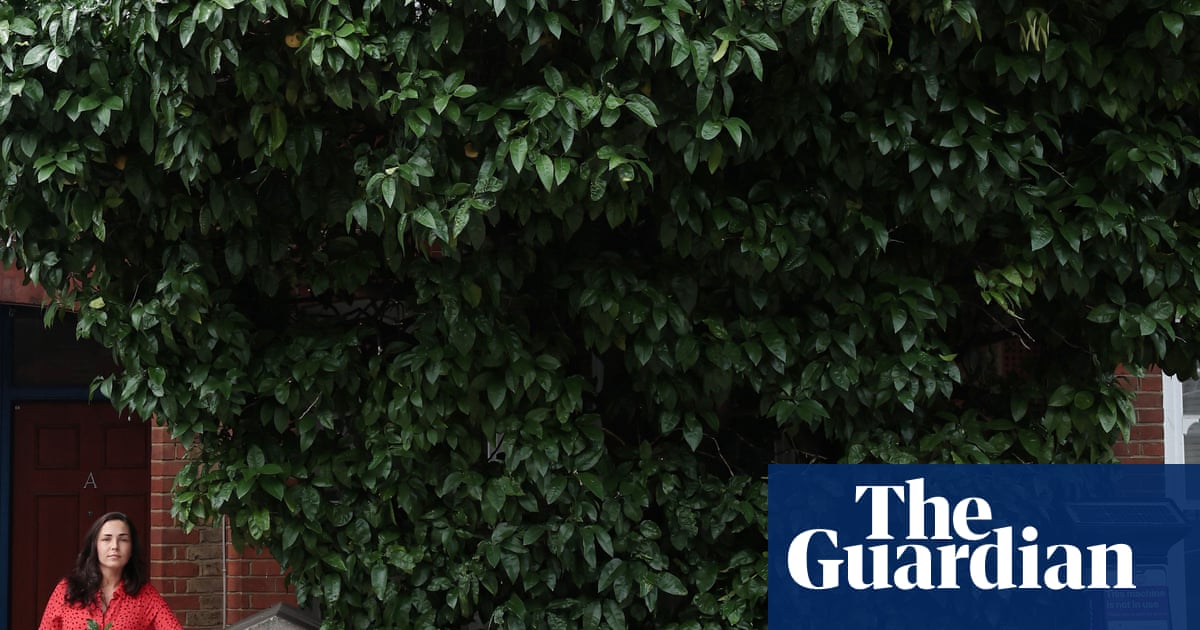 Gift from Grenada': grapefruit trees win protection after London campaign