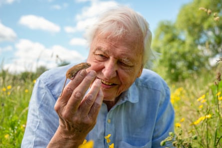 Sir David Attenborough with a harvest mouse in 2025.