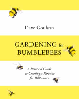 Catch the buzz: Gardening for Bumblebees.