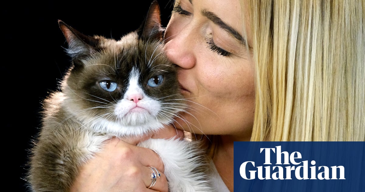 Cats Bond With Their People Too Study Finds Life And Style